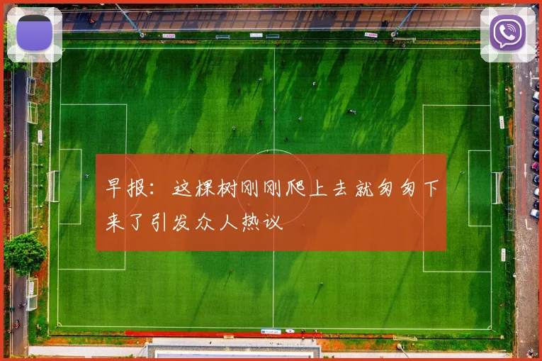 早报：这棵树刚刚爬上去就匆匆下来了引发众人热议