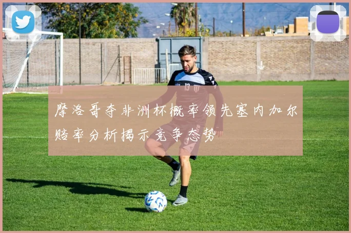 摩洛哥夺非洲杯概率领先塞内加尔赔率分析揭示竞争态势